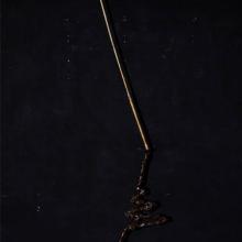 Reed and Its Reflection