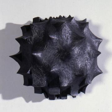 Pods, Pickerels, Reeds & Honeysuckles