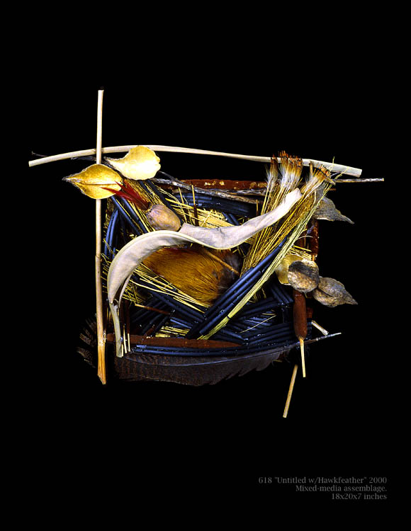 Untitled (with hawk feather & poppy pod)