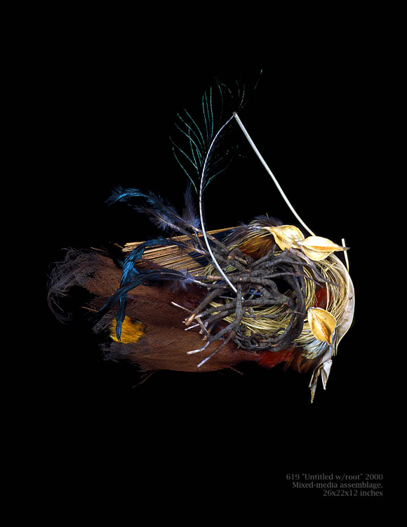 Untitled (with root and rooster feathers)