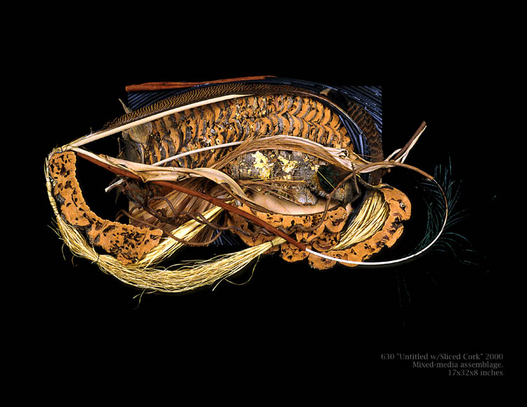 Untitled (with sliced cork bark)