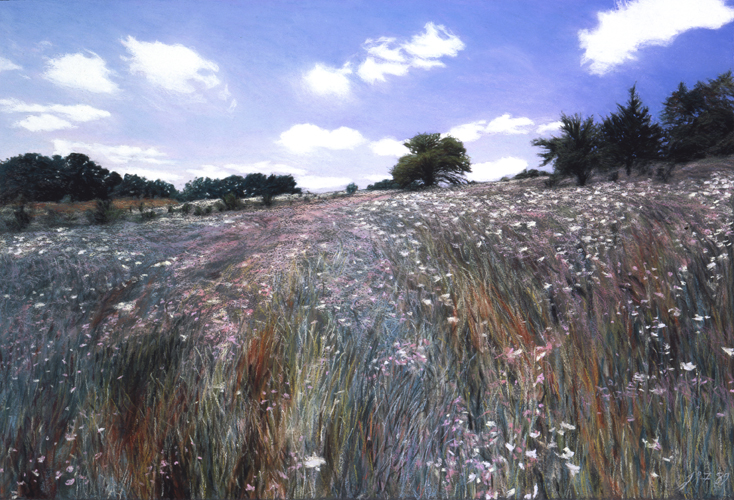 120 Midsummer Meadow.jpg