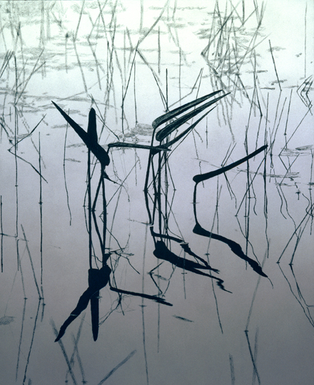 146 Floating World, Monochrome Study #1