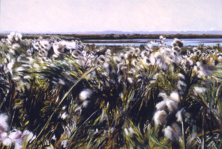 150 Thaludin Thistles