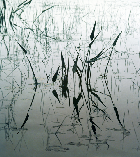 151 Floating World, Monochrome Study #2