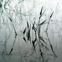 151 Floating World, Monochrome Study #2