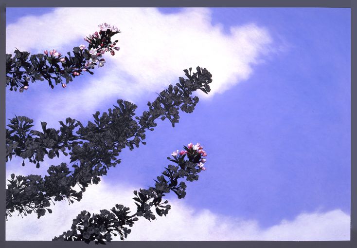 154 Apple Blossom Flourish.jpg