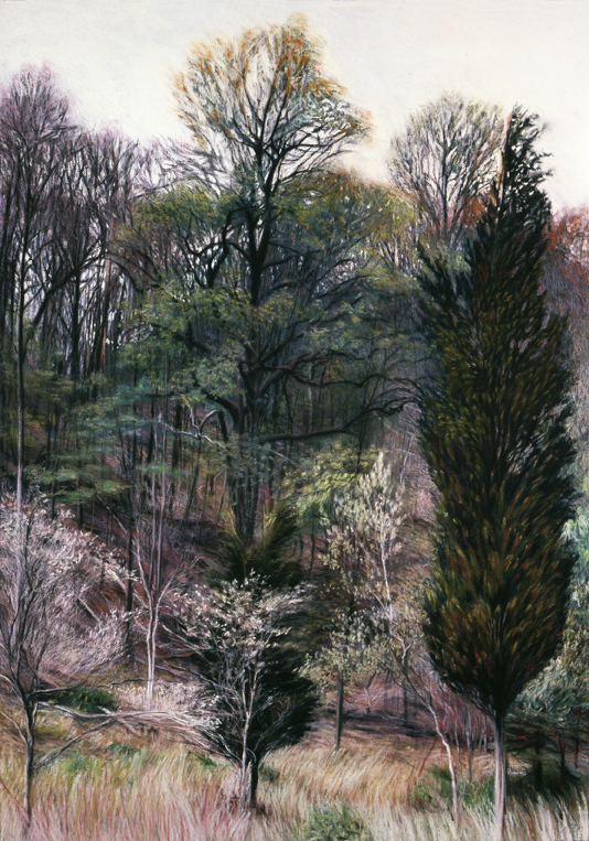 201 Colloquial Spring