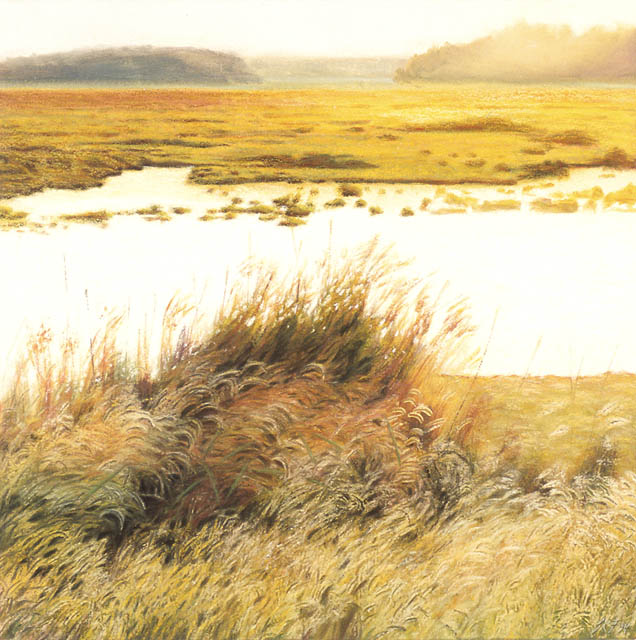 Golden Glow, Bombay Hook