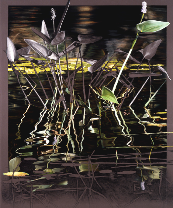 82 Shady Corner of the Lake