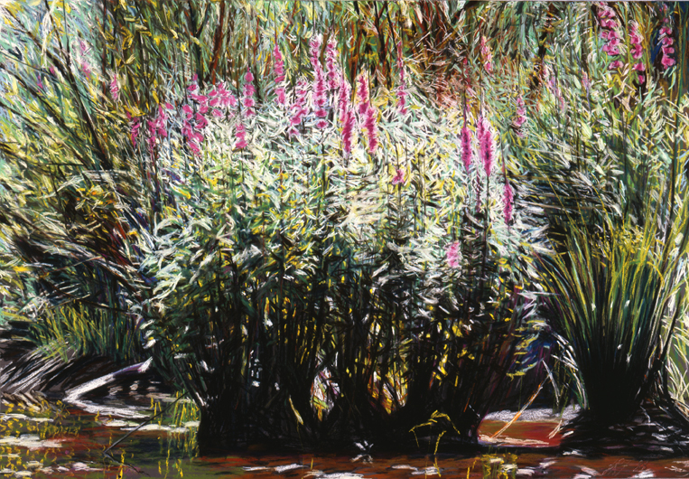 94 Midsummer Lithrum