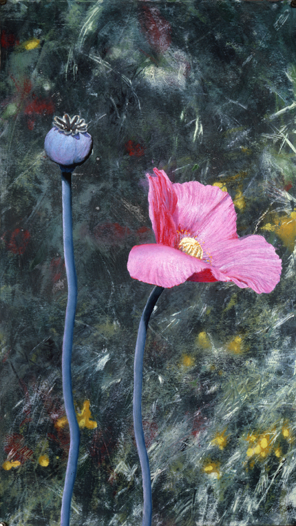 200 Pink Poppy & Pod