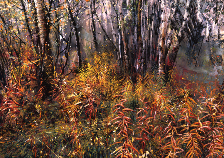 207 Wet Autumn Meadow