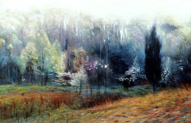 210 Dawning, May Meadow II