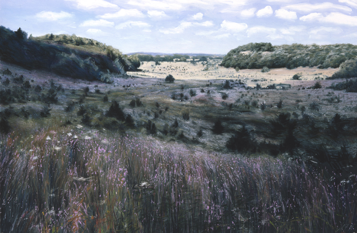 213 Dodgeville Meadow