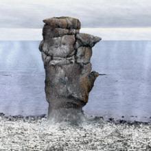 225 Langhammer's Rauk