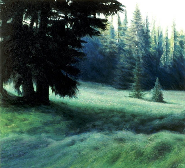 337 Forest Sward, Slovakia