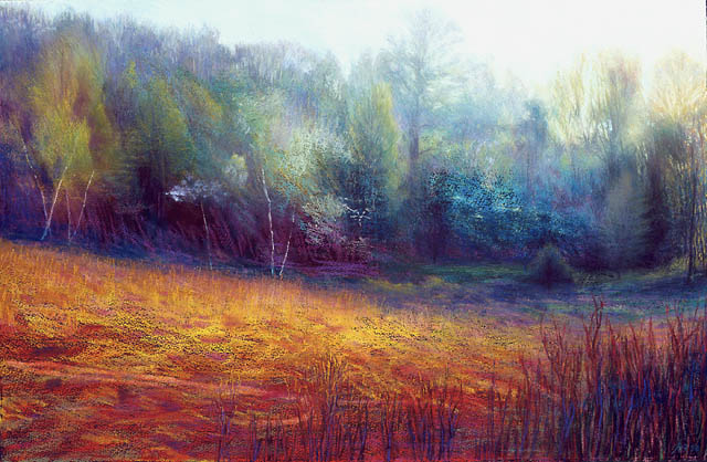 550 Dawning, May Meadow III