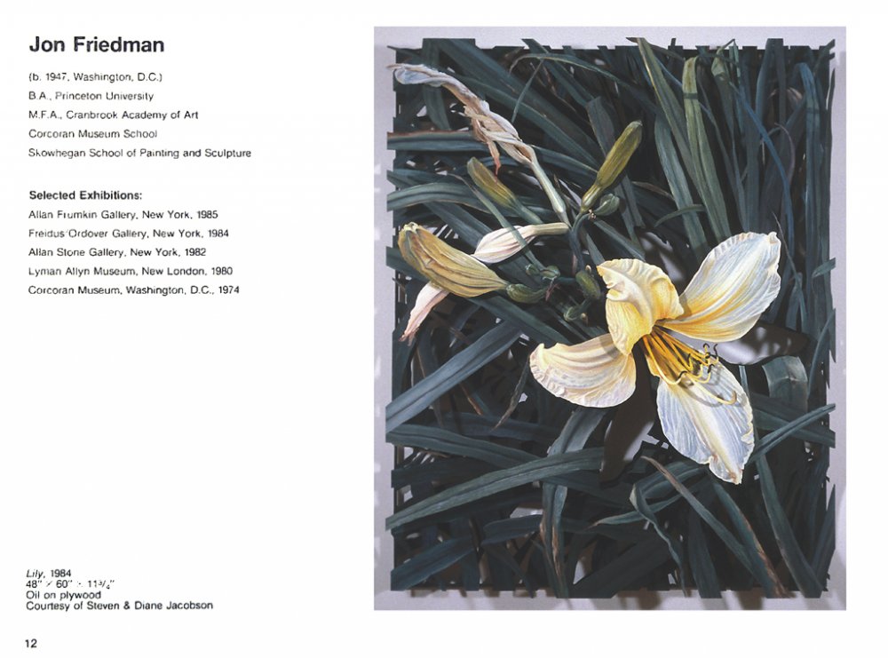 Interplay, November-December 1985, Jon Friedman catalogue entry