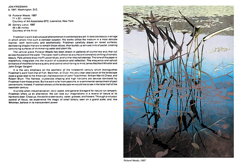 Recent American Pastels, Exhibition Catalogue, February 1988, Jon Friedman entry