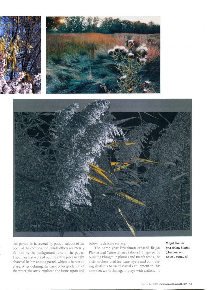  Pastel Journal - December 2010 p.43