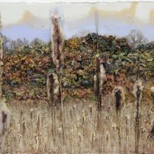 2053 Pamet Marsh Reeds