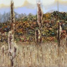 2053dtl Pamet Marsh Reeds #2