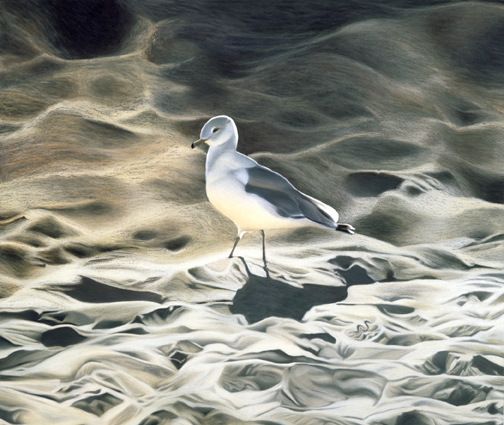 059 Sur La Plage
