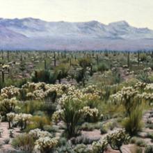 187 Sonoran Desert, Midday