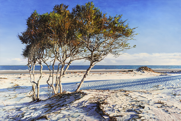 2117 Ossabaw Beach