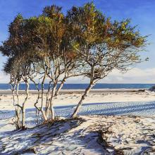 2117 Ossabaw Beach
