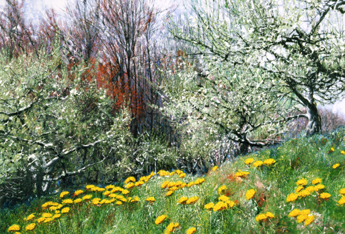 304 Apple Blossoms and Dandelions