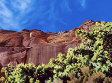 316 Canyon de Chelly