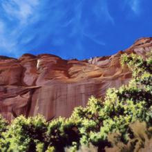 316 Canyon de Chelly