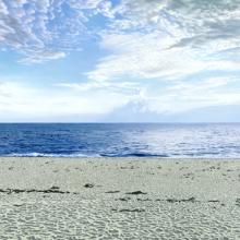 395 Beach