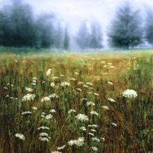 457 Queen Anne's Lace