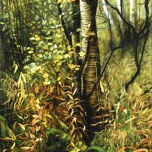 548 Autumn Sliver