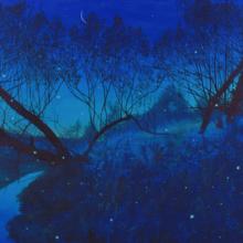 601 Fireflies