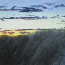 754 Path, Grass, and Clouds