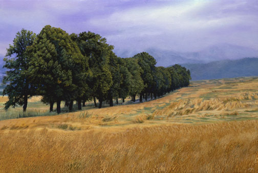 822 Alley of Trees