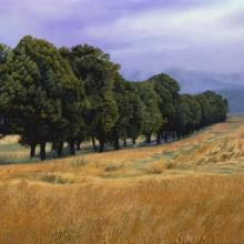822 Alley of Trees